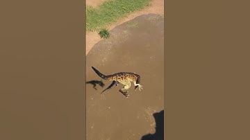 Poor Omni.. | The Isle Evrima #theisle #theisleevrima #dinosaurgames #isle #shorts