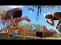 Train Front Lever Muscle Up AND Tuck Planche Push Ups ON CHEAP P BARS