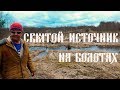 Святой источник на ярославских болотах!