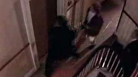 Homicide: The City that Bleeds