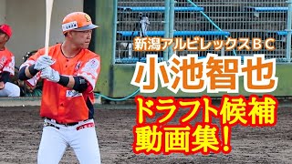 小池智也 新潟アルビレックスｂｃ ｎｐｂドラフト候補動画集 Youtube
