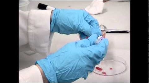 How to make a solar cell using raspberries