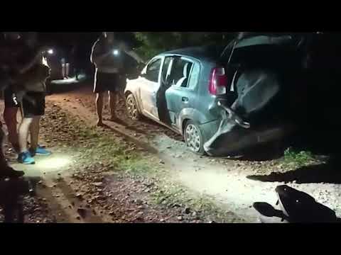 Boi roubado é resgatado de porta-mala de Fiat Uno | Canal Rural