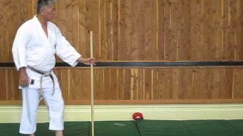 Jo Suburi - Tsuki - AAA 5th Kyu Ki Test and Exercise