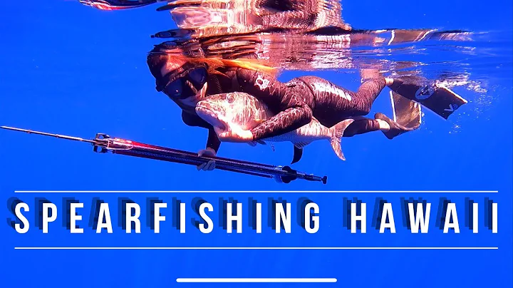 Spearfishing Hawaii - Shooting Big Ukus With Wife!...