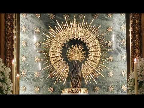 Ángelus diario junto a la Virgen del Pilar