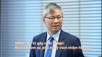 ⚖️ ĐBQH: Xả lũ làm chết người phải coi là tội hình sự và bị xử lý nghiêm