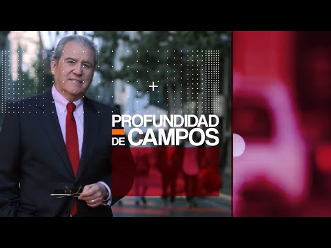 Profundidad de Campos - Presidente del Senado   Senador Álvaro Elizalde