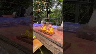 Two Little Budhas Praying | Tibet Refugee Camp | Dharamshala India #Buddha