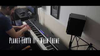 Hans Zimmer - Planet Earth II (Main Theme) chords