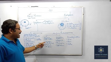 SCHEMATIC DIAGRAM OF A CELL | Class 8 | CBSE | Science Reckoner