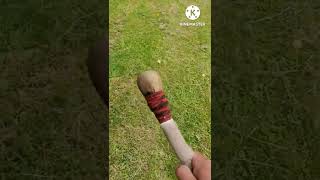 deerskin and Oak rattle sound demo