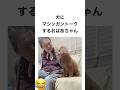 犬にマシンガントークするおばあちゃん