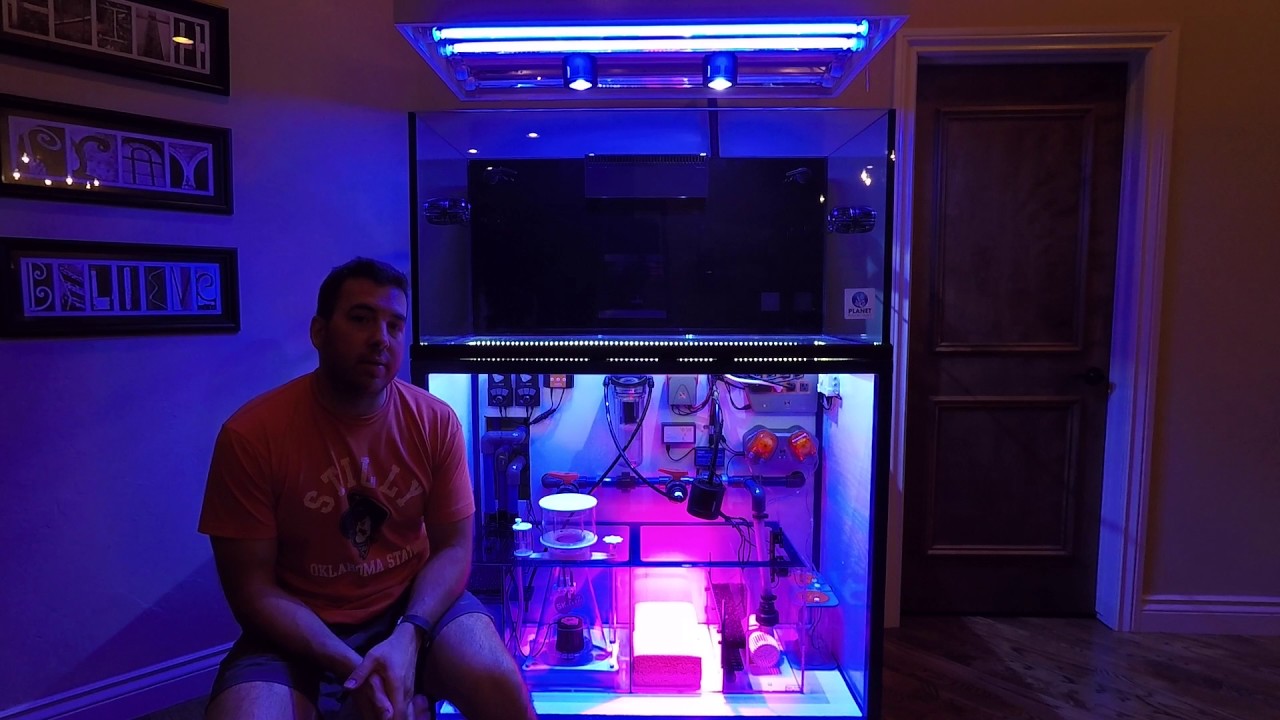 Ultimate 120 Gallon Reef Tank Setup Overview! Ep 4 YouTube
