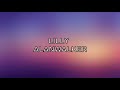 Lily lyrics  alan walker k391  emelie hollow