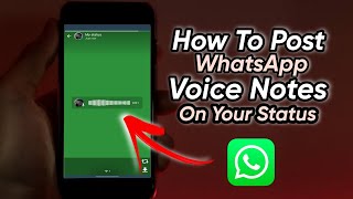 How To Post WhatsApp Voice Notes On Status  | How To Post WhatsApp Audio Clips on Status screenshot 5