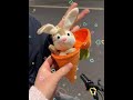 Is it too much to get a carrot with a little rabbit inside?