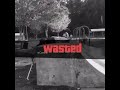 wasted #comedy meme #memes #hasley