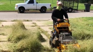 Transforming a NEGLECTED EYESORE for the neighborhood | I had to mow the driveway