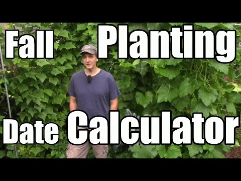 Wideo: Strefa 5 Jesienne ogrodnictwo – wskazówki dotyczące jesiennego sadzenia ogrodów w strefie 5