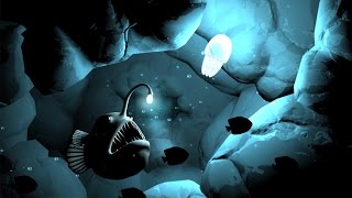 Seashine