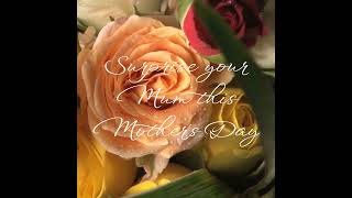 Flower Land Mothers Day 2025