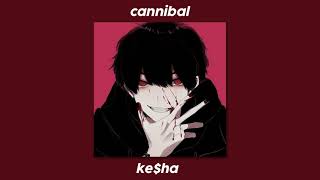 cannibal -  ke$ha  (slowed+reverb)