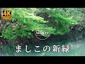 【4K】ましこの新緑 益子町小宅地区~大郷戸ダム