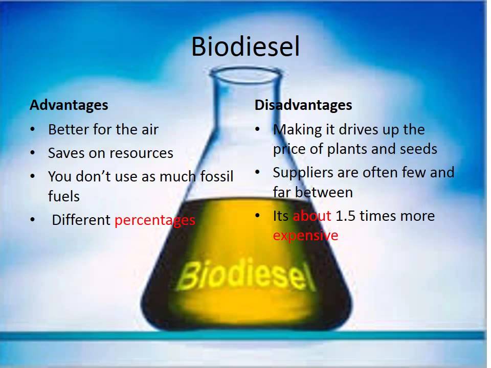 The Difference Between Diesel and Biodiesel 