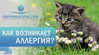 видео Что лечит иммунолог? Список заболеваний, которые лечит аллерголог-иммунолог