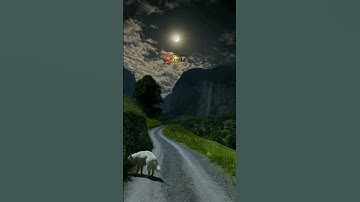 فضل تلاوة القرآن الكريم