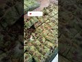 Как пройти мимо Турецких сладостей??