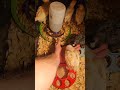 Feeding 2 wk old baby chicks by hand! #smallranch #homestead #babychickens #hatched