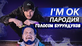 LITTLE BIG - I'M OK (ПАРОДИЯ) (за участие Ильича) - ГОЛОСОМ БУРУНДУКОВ