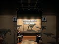 Echoes of the Past: Scientists, Society, and the Question of Revival