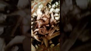 31017 Our Pita Bread Pizza