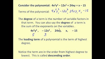 Introduction to Polynomials