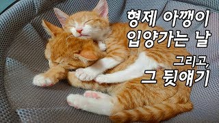 찐빵이랑 만두 입양갑니다 by 짜바 6,162 views 4 years ago 1 minute, 37 seconds