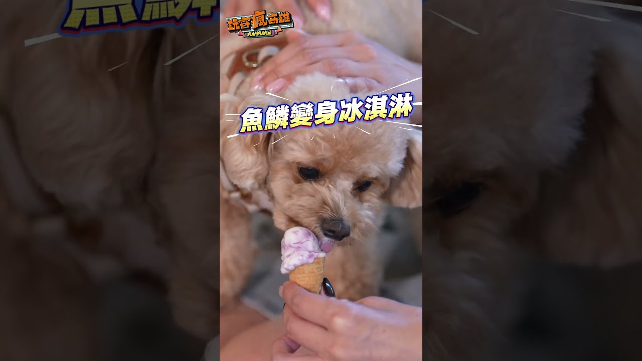 魚鱗變身冰淇淋??吃冰也能很健康!! 縮圖