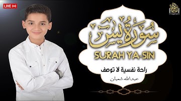 سورة يس | قلب القرآن الذي يشرح الصدور ويزيل الهموم 💖📖عبدالله شعبان