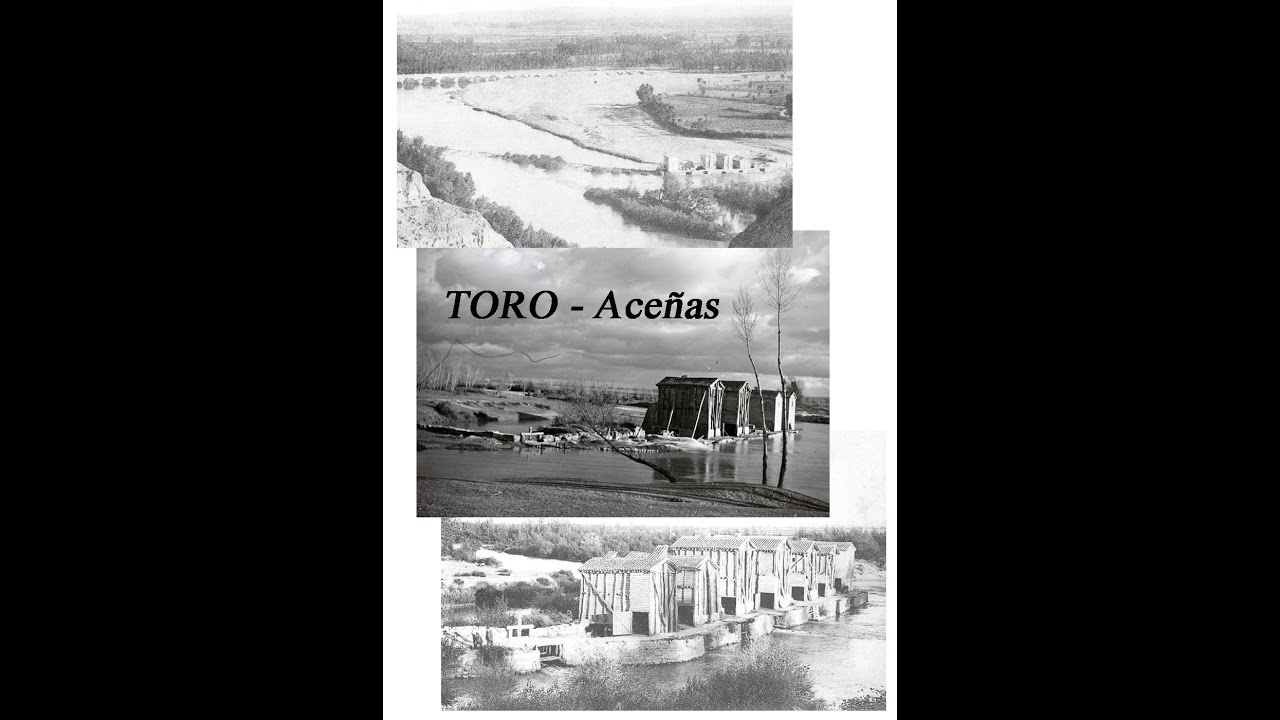 TORO (Zamora) - Aceñas del Duero - Toresanos