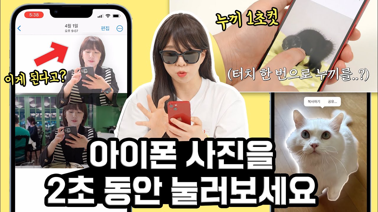 애플 쓰는 게 편한 이유;; 아이폰 사진 앱에 생긴 놀라운 기능 알려드림