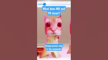 What does MB and FR mean? Wrong answers only🙂🙃🙂🙃