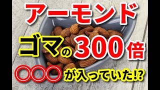 アーモンドはゴマの300倍◯◯◯が入っていた？