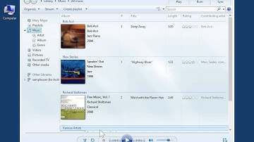 Windows 8.0 Professional -View Information About the Windows Media Player Plug-Ins on a Computer