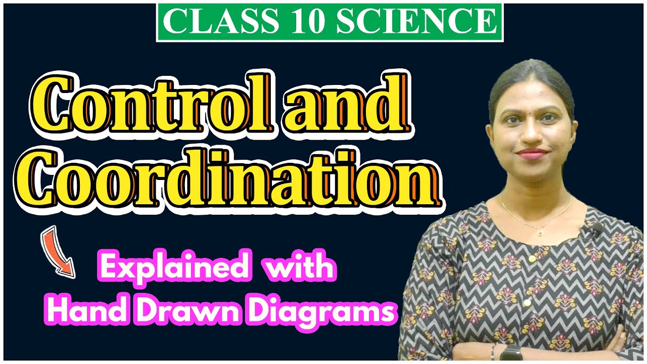 Control and Coordination One Shot Class 10 Science for Board - YouTube