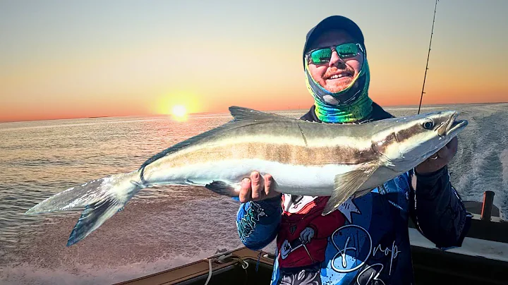 Plagued by Cobia AKA Black king fish! the weather gods turned it on!!
