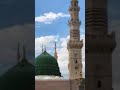 waoa#awesome#viral #video #shorts #voiceofheart