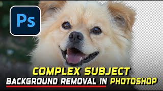 Best Way to Remove Complex Background in Photoshop (Quick Tutorial)