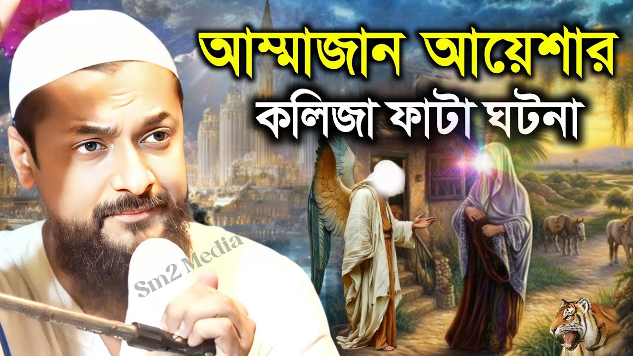 Pirjada Junaid Siddiqui waz 2026 | আম্মাজান আয়েশার (রাহঃ) ঘটনা | পীরজাদা জুনায়েদ সিদ্দিকী হুজুর